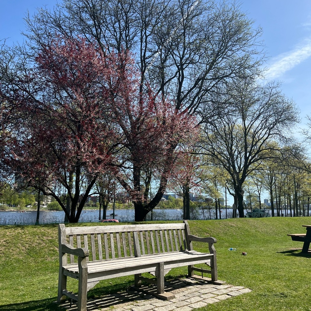 listing #1